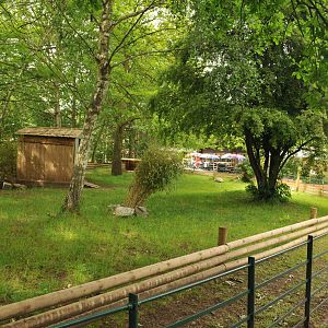 AFRICAN SPURRED TORTOISE ENCLOAURE