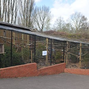 REEVE'S PHEASANT ENCLOSURE