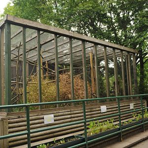 GEOLDI'S MONKEY ENCLOSURE