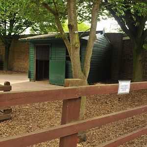 KUNE, KUNE PIG ENCLOSURE