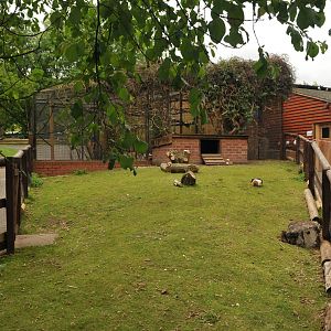 GUNIPIG ENCLOSURE