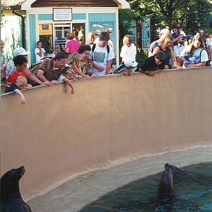 Sea World Ohio - 1999: Seal/Sea Lion Pool