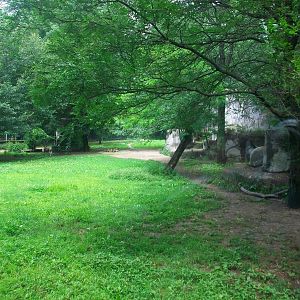 African Wild Dog Exhibit - 2009