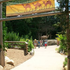 Marco Polo Trail - 2009