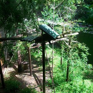Red Panda Exhibit - 2009