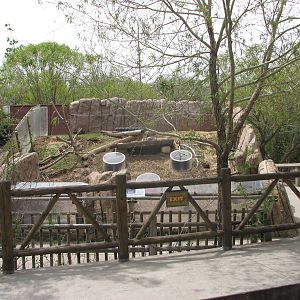 Discoveryland Knoll and Burrow - Domestic Rabbit Exhibit