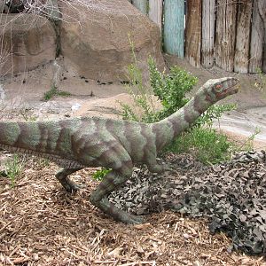 Discoveryland Woodland Edge - Zoorassic Park