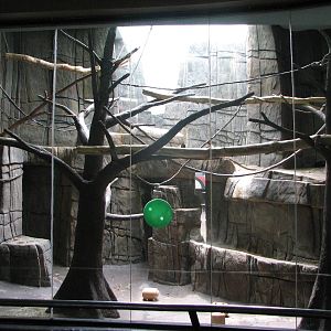 Primate Forest and Exhibition Hall