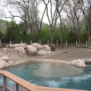 Elephant Encounter - East Yard