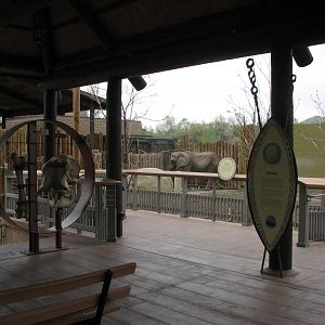 Elephant Encounter - Viewing Area