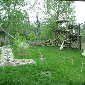 Great Ape House - Gorilla Yard