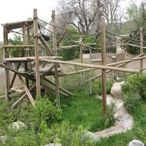 Great Ape House - Orangutan Yard