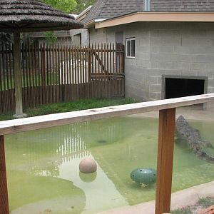 Small Animal Building - Siamese Crocodile Outdoor Yard