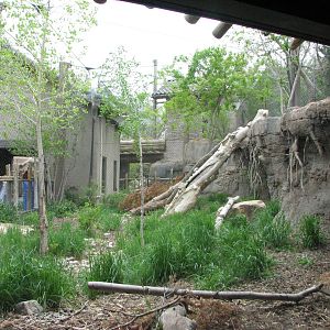 Asian Highlands - Snow Leopard Exhibit
