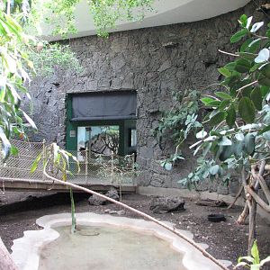 Small Animal Building - Central Aviary