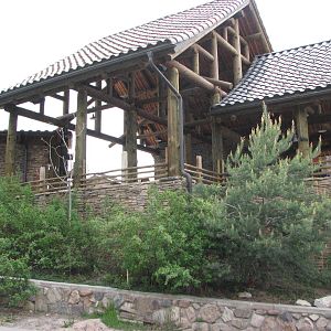 Asian Highlands - Cat Wok Cafe