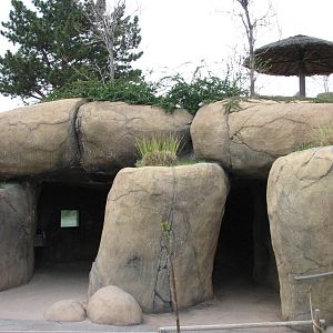 Elephant Encounter - Kopje Viewing of West Yard