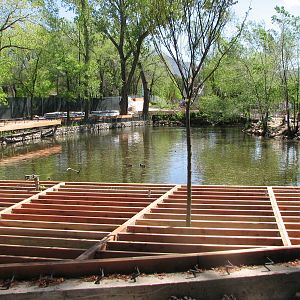 Construction at the Entrance