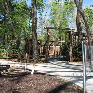 Owl Forest Construction