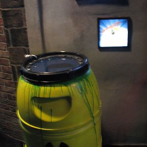 Animal Superheroes - Emperor Scorpion Exhibit