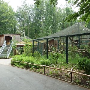 Clouded Leopard exhibit