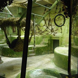 Gorilla House right