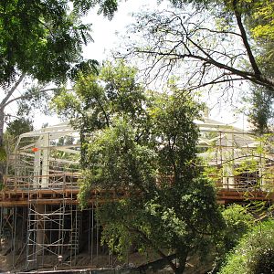 Future Conservation Carousel