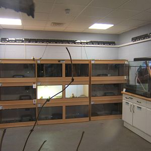 View of one of the new Reptile Rooms