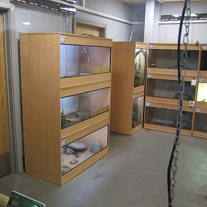View of one of the new Reptile Rooms