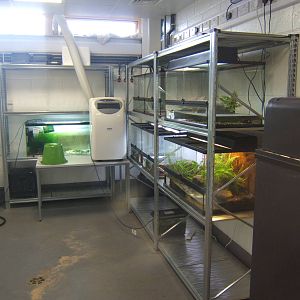 View of one of the new Amphibian Rooms