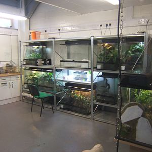 View of one of the new Amphibian Rooms