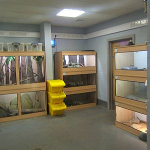 View of one of the new Reptile Rooms