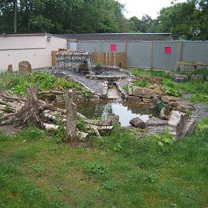 View of finished Asian Short-clawed Otter enclosure