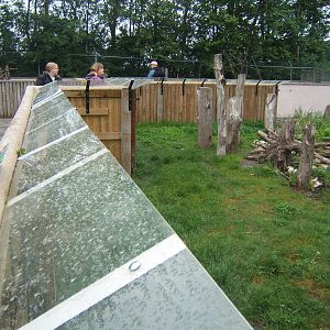 View of finished Asian Short-clawed Otter enclosure