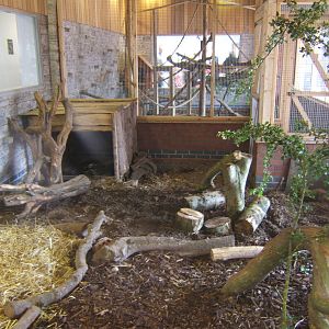 View of the Crested Porcupine/Meerkat exhibit with Coati exhibit behind