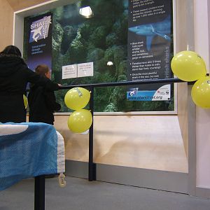 View of the Large Marine Tank