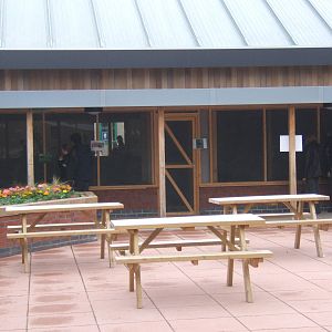 View of the Crested Porcupine and Meerkat/Coati enclosure from the central