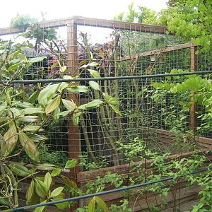 Lakeside Bird of Prey Centre.Barn Owl Aviary and the only Aviary on site