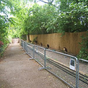 Lakeside Bird of Prey Centre.View of mews