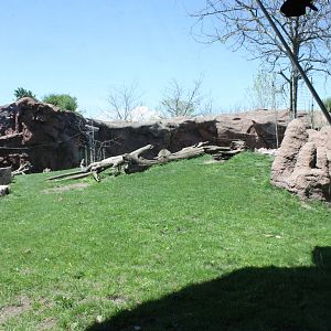 Back of the Baboon Exhibit