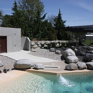 African Penguin exhibit