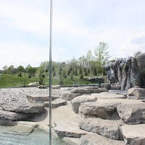 Polar Bear Exhibit