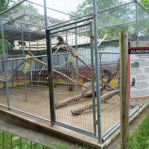 Catoctin Zoo -- Macaques Exhibit