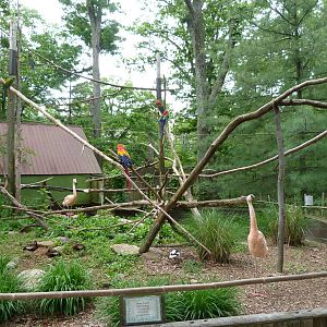 Catoctin Zoo -- Amazon Aviary