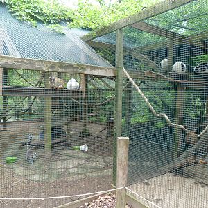 Catoctin Zoo -- One Side of Mixed Lemur Exhibit