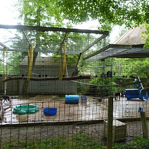 Catoctin Zoo - Ochreata Macaques Exhibit
