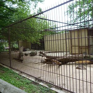 Catoctin Zoo - Sun Bear Exhibit