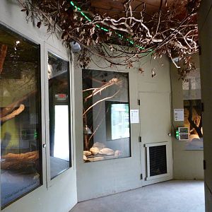 Catoctin Zoo -- Inside Giant Reptiles