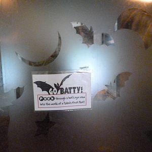 Catoctin Zoo -- Bat Exhibit