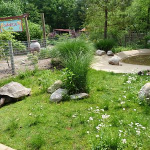 Catoctin Zoo -- Galapagos Tortoise Yard